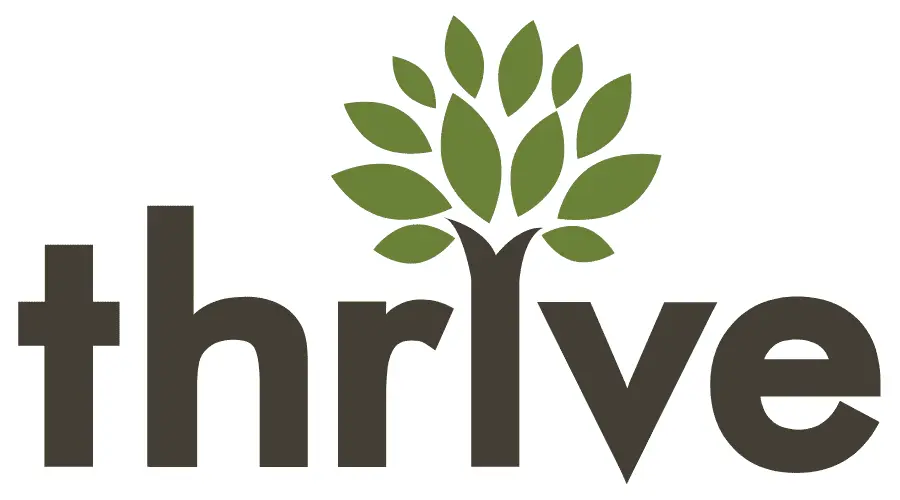 thrive internet marketing agency logo - social media marketing company