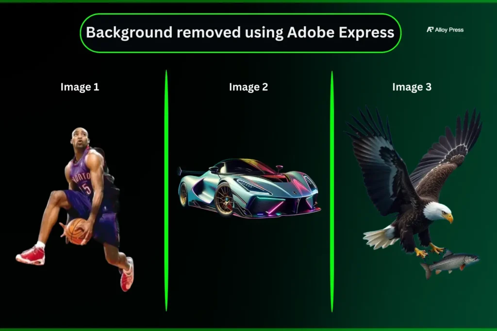 Adobe Express outputs