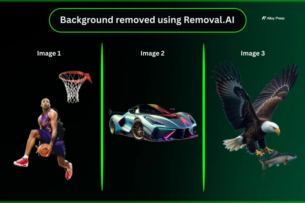 Removal.AI Outputs