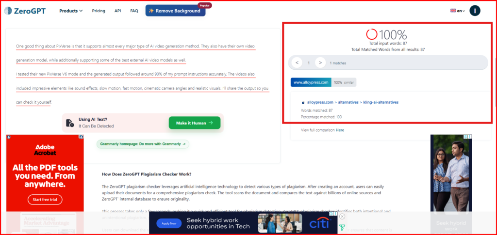 Screenshot Image of ZeroGPT plagiarism checker workspace area